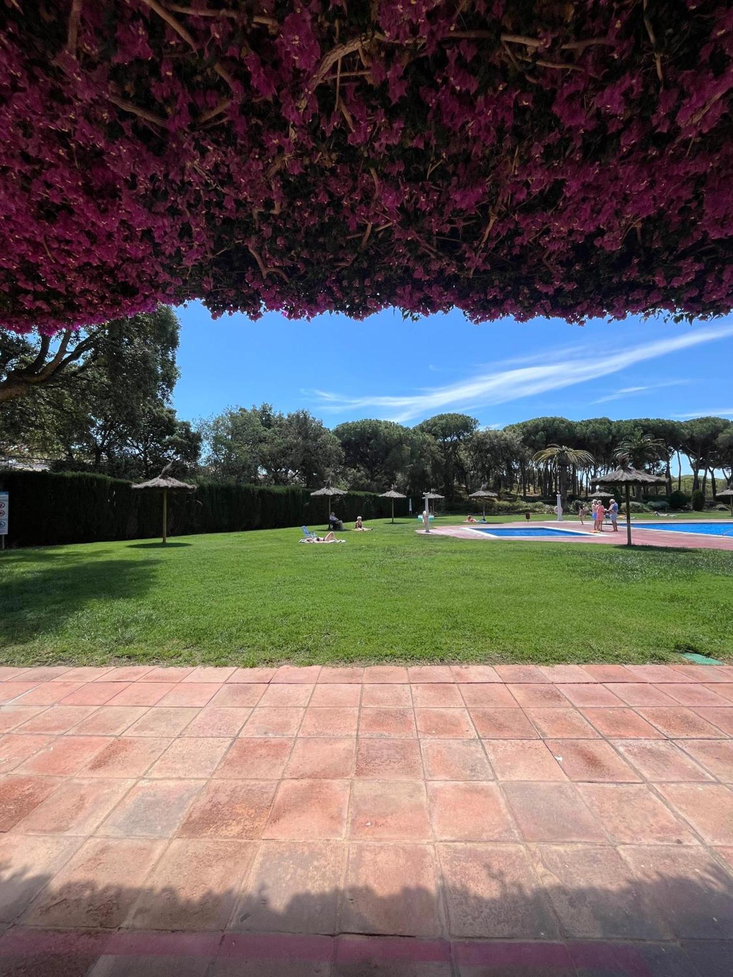 Calella De Palafrugell - Piso Reformado Con Piscina, Wifi Y Parking Gratuito Appartement Buitenkant foto